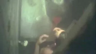 Hottie fucks თავად მისი საყვარელი მინის ვიბრატორი და cums